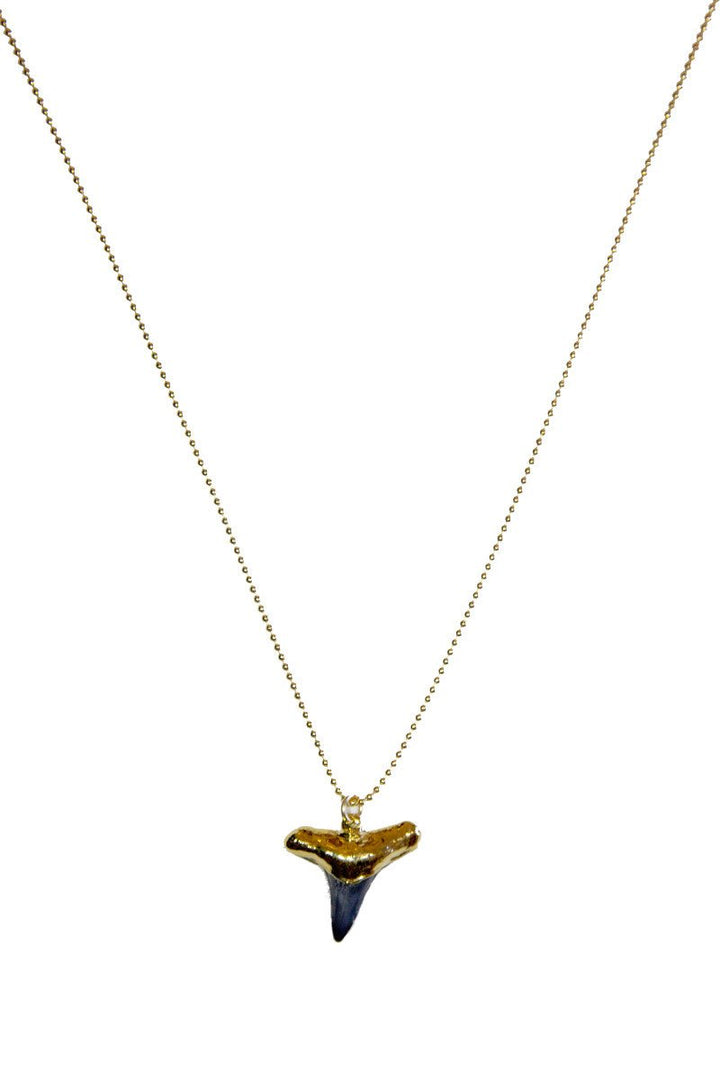 Shark Tooth Necklace