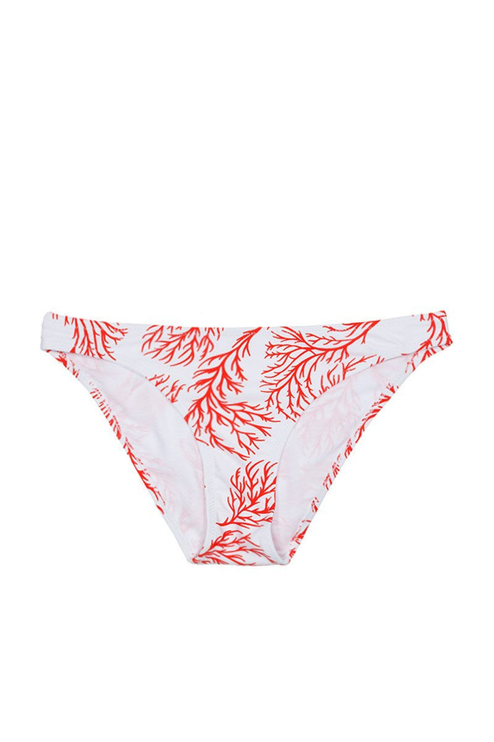 Branch Bottom in Coral